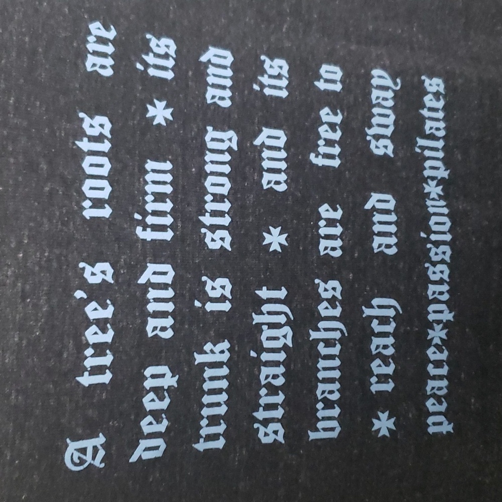 Peace Passions Pilates deeply rooted statement sleeved tee Sz XL - Picture 3 of 4